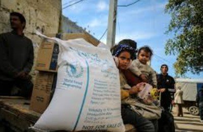 رابط التواصل المباشر مع برنامج الغذاء العالمي wfp غزة