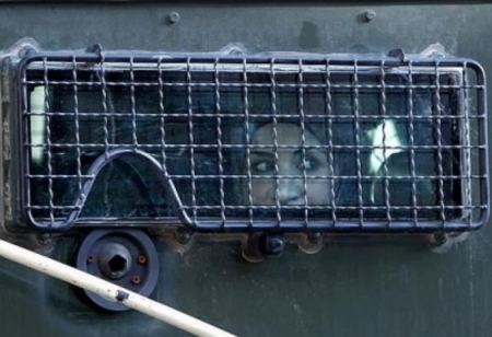 41 أسيرة في سجون الاحتلال بينهن قاصر