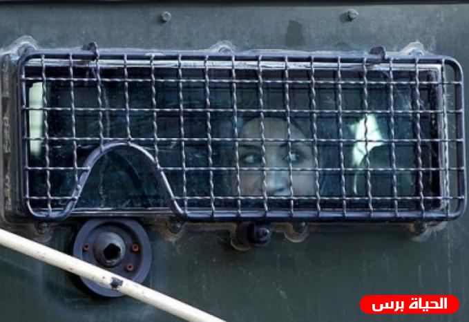 41 أسيرة في سجون الاحتلال بينهن قاصر