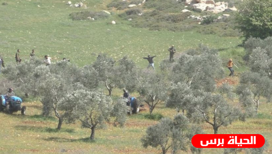 مستوطنون يعتدون على مزارعين ويمنعونهم من حراثة أراضيهم شرق يطا