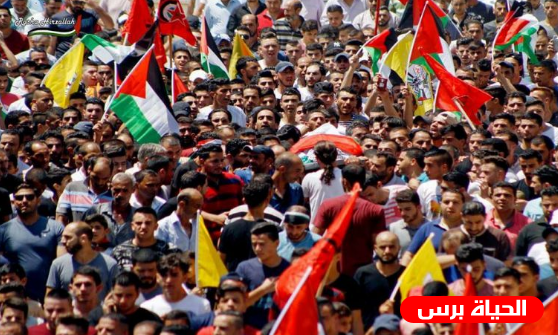 44 شهيداً خلال نوفمبر الماضي