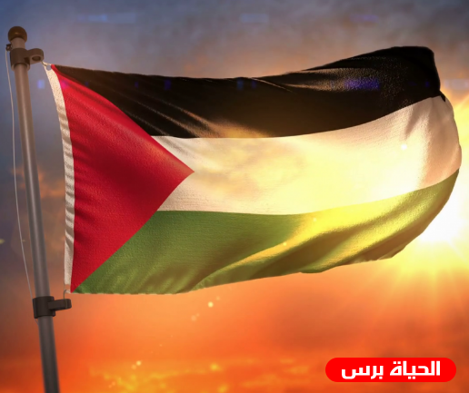 مجلس المؤسسات الفلسطينية يبحث تشكيل جماعات ضغط داخل المؤسسات الأميركية