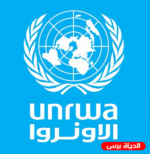 قطر تتبرع للإنروا بـ 20.7 مليون دولار لصالح الفلسطينيين في سوريا