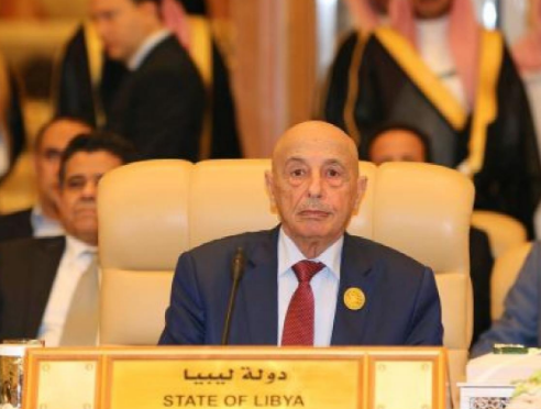 رئيس مجلس النواب الليبي : هناك ضباط أتراك قتلوا في ليبيا