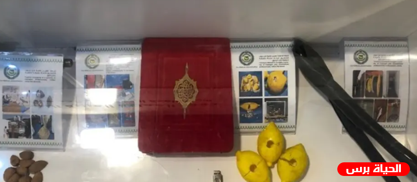 تعرف على أحدث طرق تهريب المخدرات في السعودية