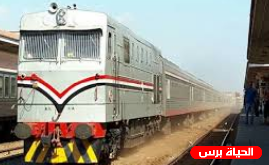 البرلمان المصري في مسائلة بسبب مسمار ثمنه 