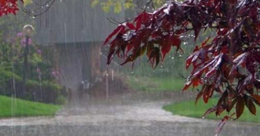 دعاء الريح والمطر .. شاركها مع أصدقائك