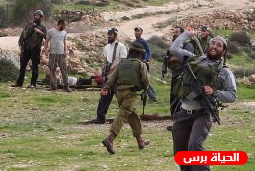 مستوطن يستولي على أرض زراعية في الأغوار الشمالية