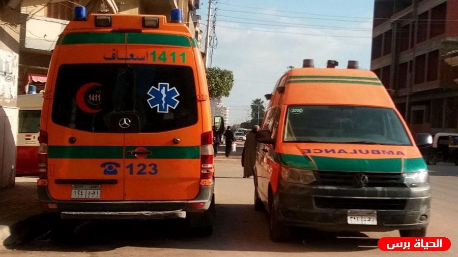 مصرع ستة أشخاص بينهم أجانب إثر حادث تصادم في مصر