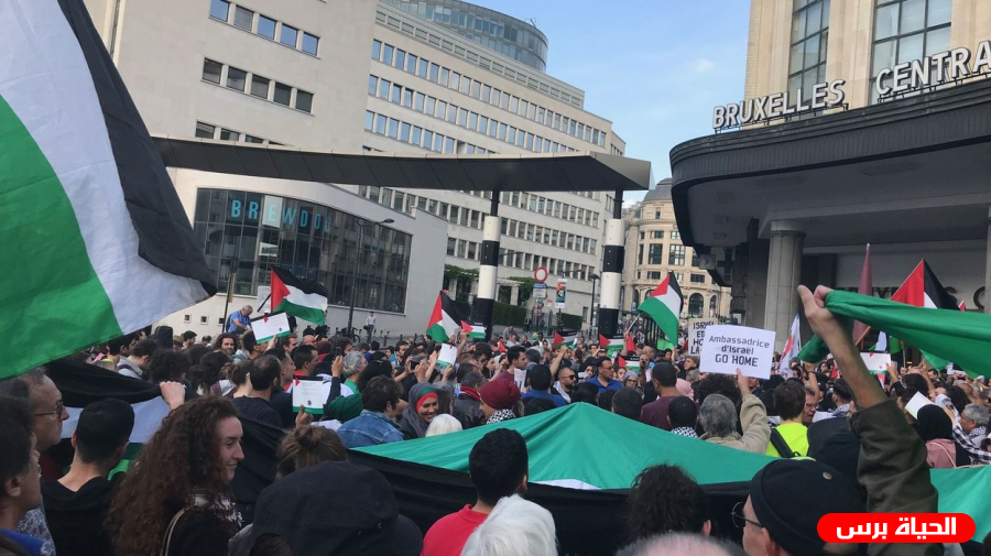 اعلان تأسيس التحالف الأوروبي لمناصرة أسرى فلسطين - لجنة بلجيكا