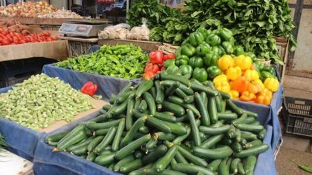 فلسطين وموريتانيا توقعان على مشروع لتبادل المعارف والخبرات لتطوير سلسلة إنتاج الخضروات