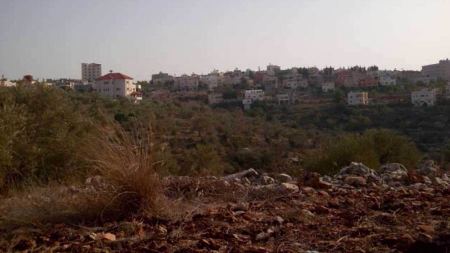 Palestinians denied access to lands threatened with confiscation west of Salfit